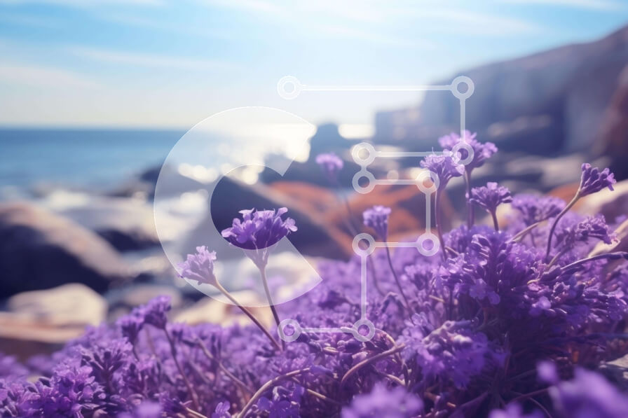 Intra Συλλεκτικό Ξύλινο Παζλ Plywood  4mm - Ομάδα μωβ λουλουδιών που ανθίζουν σε βράχους δίπλα στον ωκεανό Σε Ξύλινο Κουτί - Διαστάσεις: 10x10 cm – 25 κομμάτια