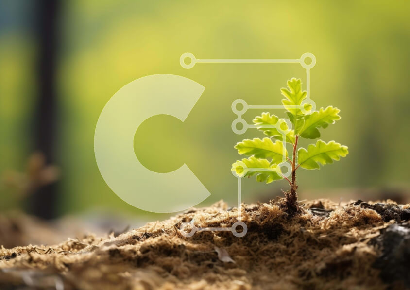 Intra Συλλεκτικό Ξύλινο Παζλ Plywood  4mm - Μικρό πράσινο φυτό που αναπτύσσεται έξω από το έδαφος Σε Ξύλινο Κουτί - Διαστάσεις: 10x10 cm – 25 κομμάτια