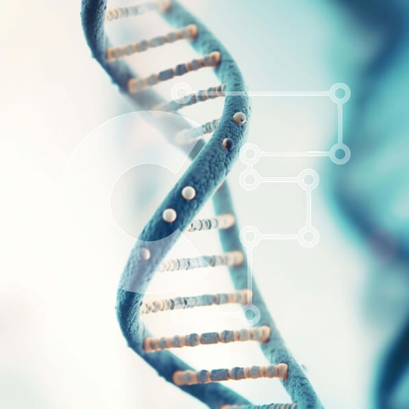 Intra Συλλεκτικό Ξύλινο Παζλ Plywood  4mm - Κοντινό πλάνο Μπλε σκέλος DNA Σε Ξύλινο Κουτί - Διαστάσεις Puzzle: 10x10 cm – 25 κομμάτια