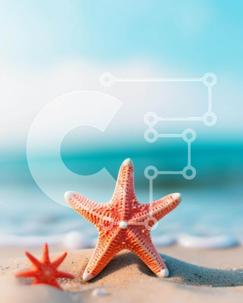 Intra Συλλεκτικό Ξύλινο Παζλ Plywood  4mm - Αστερίας δίπλα στον ωκεανό Σε Ξύλινο Κουτί - Διαστάσεις: 10x10 cm – 25 κομμάτια