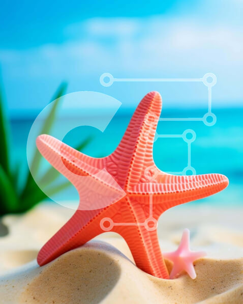 Intra Συλλεκτικό Ξύλινο Παζλ Plywood  4mm - Ροζ αστερίας στην αμμώδη παραλία Σε Ξύλινο Κουτί - Διαστάσεις: 10x10 cm – 25 κομμάτια