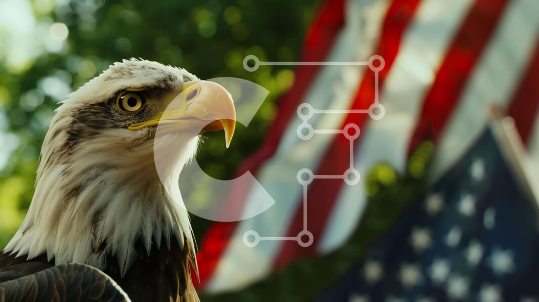 Σετ των 2 Intra Συλλεκτικό Ξύλινο Παζλ Plywood  4mm - Φαλακρός αετός μπροστά από την αμερικανική σημαία Σε Ξύλινο Κουτί - Διαστάσεις: 10x10 cm – 25 κομμάτια