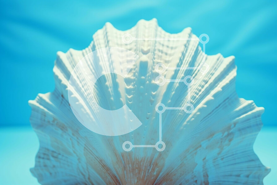 Intra Συλλεκτικό Ξύλινο Παζλ Plywood  4mm - Μεγάλο λευκό κοχύλι σε μπλε φόντο Σε Ξύλινο Κουτί - Διαστάσεις: 10x10 cm – 25 κομμάτια