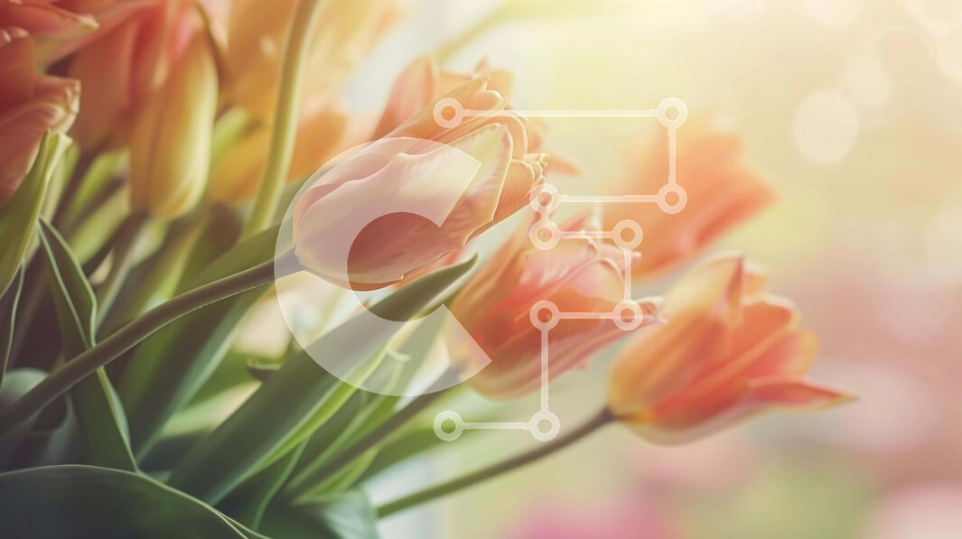 Intra Συλλεκτικό Ξύλινο Παζλ Plywood  4mm - Ζωντανό πορτοκαλί μπουκέτο με τουλίπες Σε Ξύλινο Κουτί - Διαστάσεις: 10x10 cm – 25 κομμάτια