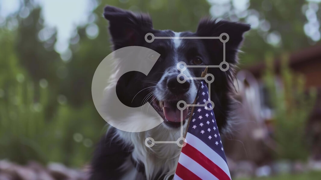 Σετ των 2 Intra Συλλεκτικό Ξύλινο Παζλ Plywood  4mm - Σκύλος Border Collie με αμερικανική σημαία Σε Ξύλινο Κουτί - Διαστάσεις: 10x10 cm – 25 κομμάτια