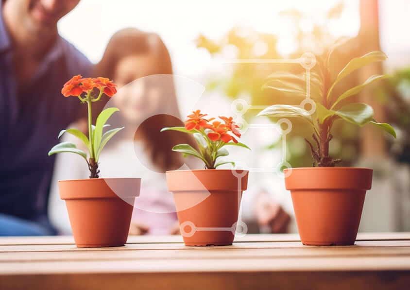 Intra Συλλεκτικό Ξύλινο Παζλ Plywood  4mm - Οικογενειακή σκηνή κηπουρικής Σε Ξύλινο Κουτί - Διαστάσεις: 10x10 cm – 25 κομμάτια