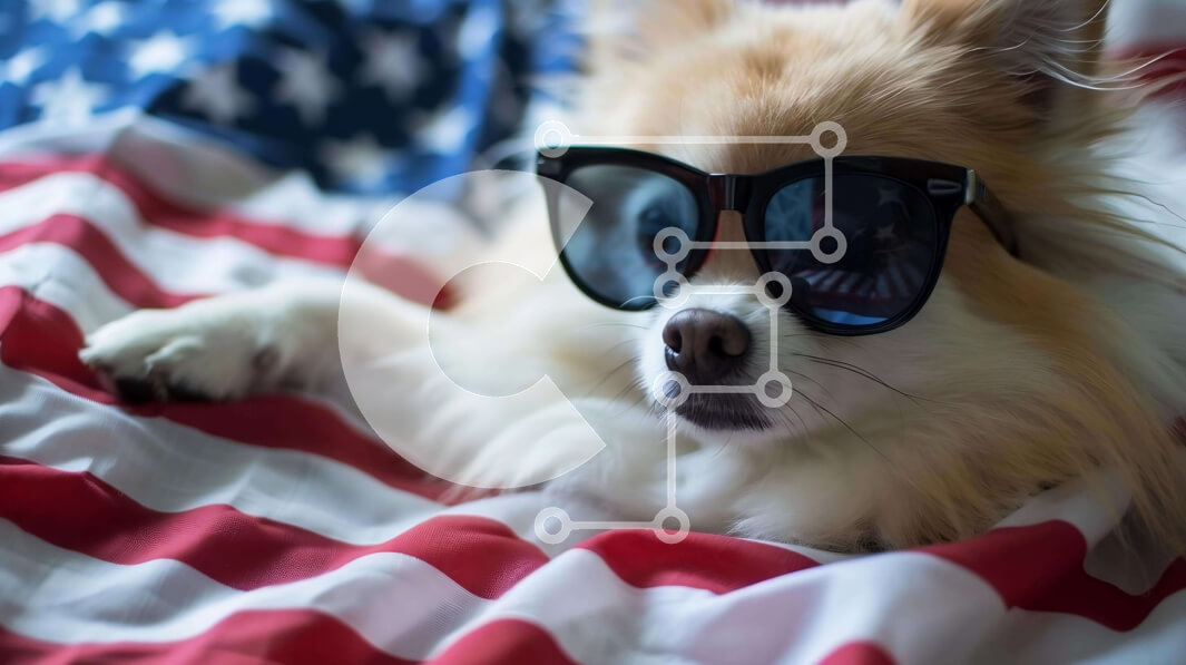 Intra Συλλεκτικό Ξύλινο Παζλ Plywood  4mm - Αξιολάτρευτο σκυλί με γυαλιά ηλίου σε κουβέρτα αμερικανικής σημαίας Σε Ξύλινο Κουτί - Διαστάσεις: 10x10 cm – 25 κομμάτια