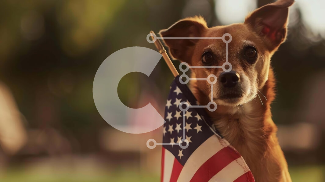 Σετ των 2 Intra Συλλεκτικό Ξύλινο Παζλ Plywood  4mm - Μικρό καφέ σκυλί που κρατά την αμερικανική σημαία σε εξωτερικούς χώρους Σε Ξύλινο Κουτί - Διαστάσεις: 10x10 cm – 25 κομμάτια