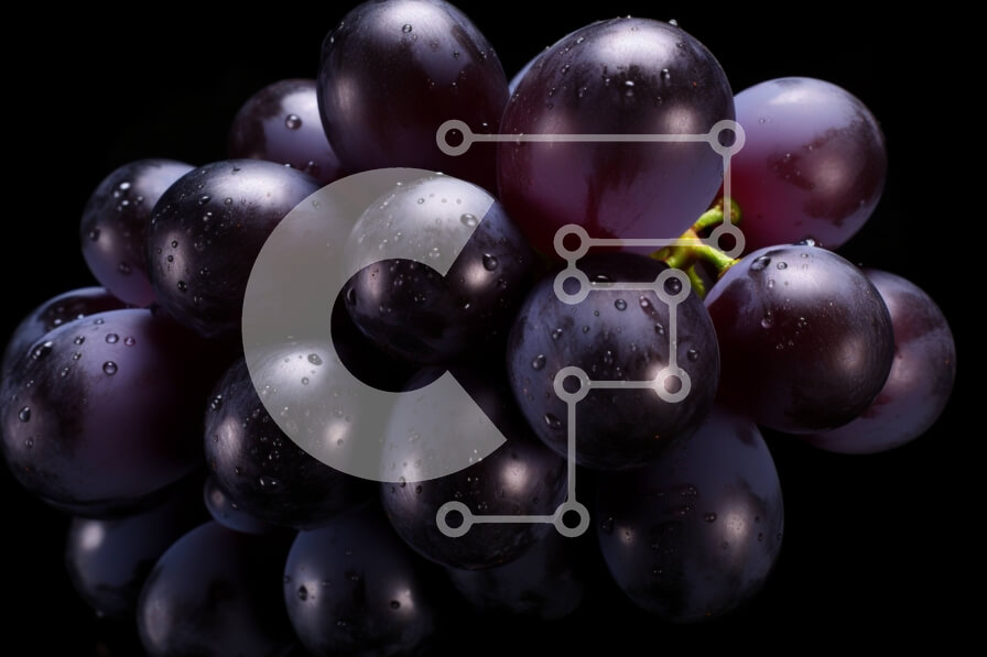 Σετ των 2 Intra Συλλεκτικό Ξύλινο Παζλ Plywood  4mm - Φρέσκα μαύρα σταφύλια με σταγονίδια νερού Σε Ξύλινο Κουτί - Διαστάσεις: 10x10 cm – 25 κομμάτια