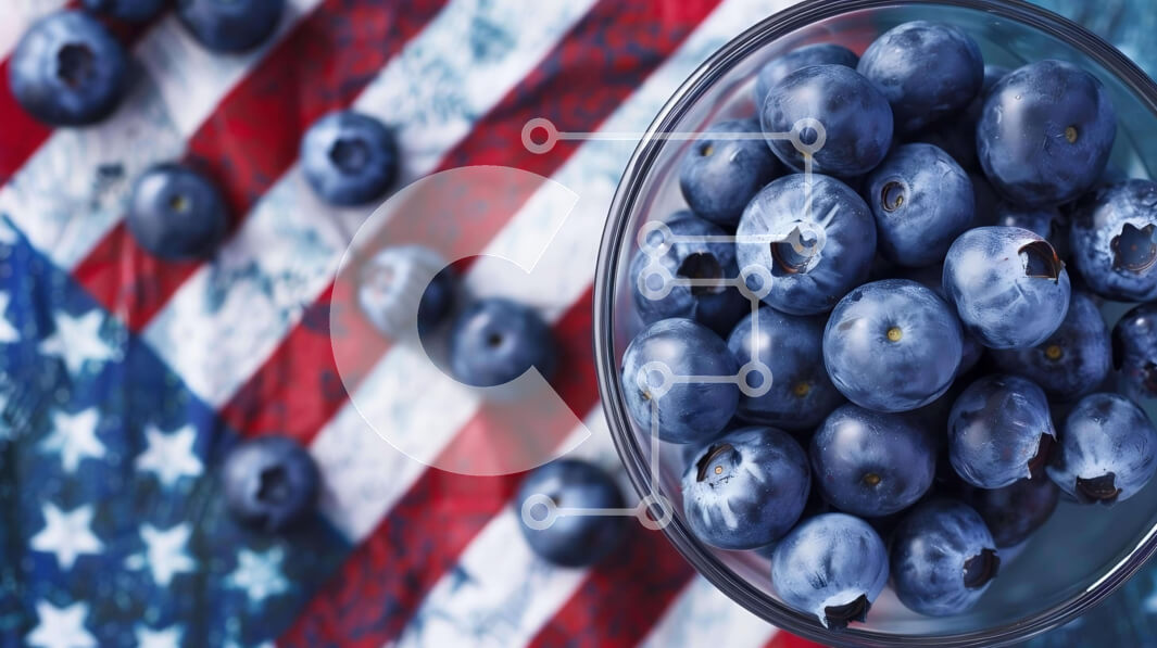 Σετ των 2 Intra Συλλεκτικό Ξύλινο Παζλ Plywood  4mm - Βακκίνια στην αμερικανική σημαία Σε Ξύλινο Κουτί - Διαστάσεις: 10x10 cm – 25 κομμάτια