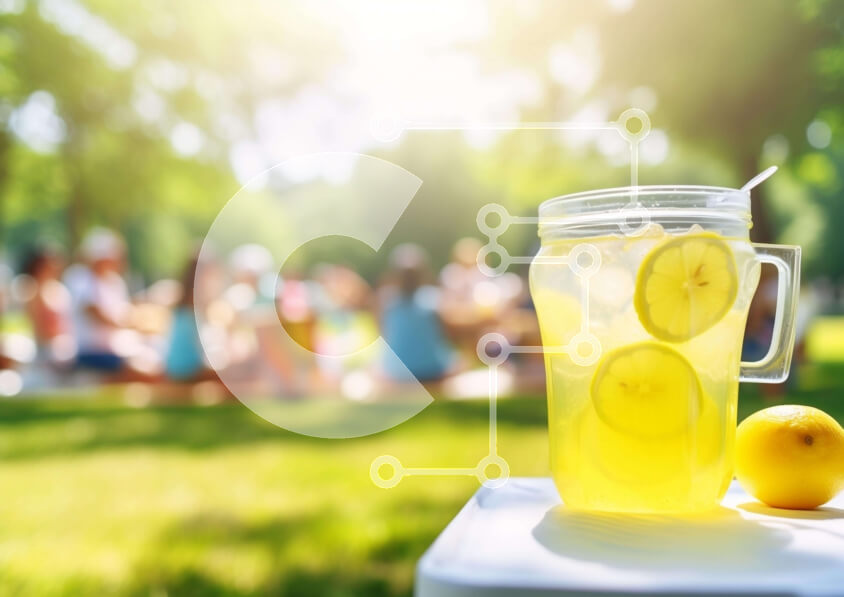 Σετ των 2 Intra Συλλεκτικό Ξύλινο Παζλ Plywood  4mm - Mason Jar Lemonade and People Outdoors Σε Ξύλινο Κουτί - Διαστάσεις: 10x10 cm – 25 κομμάτια