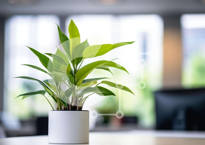 Intra Συλλεκτικό Ξύλινο Παζλ Plywood  4mm - Μικρό φυτό σε γλάστρα σε χώρο γραφείου Σε Ξύλινο Κουτί - Διαστάσεις Puzzle: 10x10 cm – 25 κομμάτια