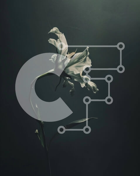 Intra Συλλεκτικό Ξύλινο Παζλ Plywood  4mm - Μοναχικό λευκό λουλούδι σε ένα σκοτεινό δωμάτιο Σε Ξύλινο Κουτί - Διαστάσεις: 10x10 cm – 25 κομμάτια