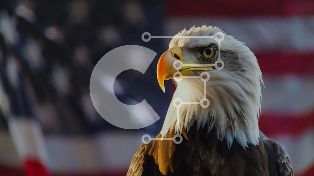 Intra Συλλεκτικό Ξύλινο Παζλ Plywood  4mm - Φαλακρός αετός μπροστά από την αμερικανική σημαία Σε Ξύλινο Κουτί - Διαστάσεις: 10x10 cm – 25 κομμάτια