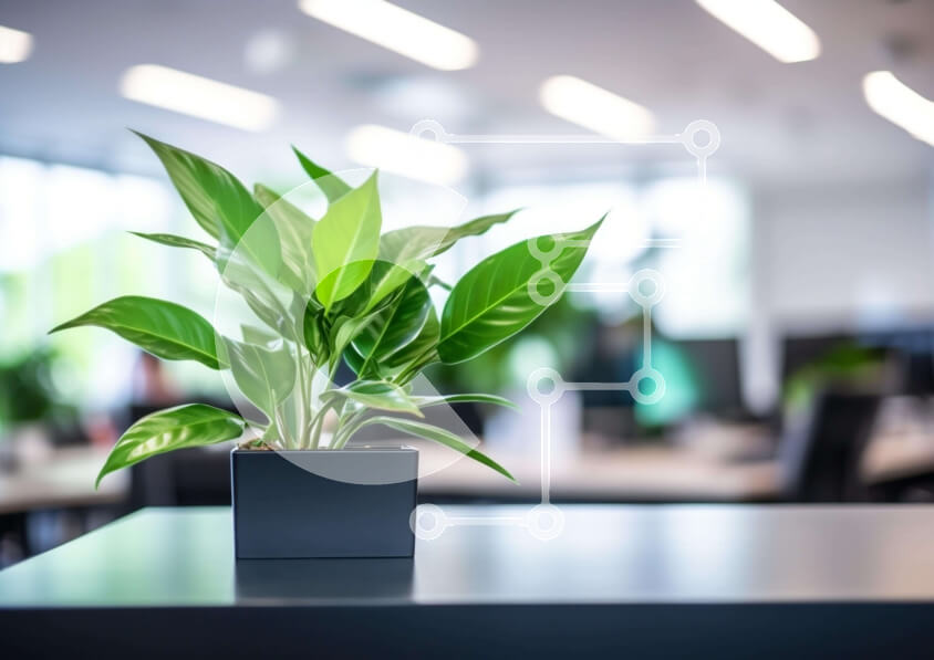 Intra Συλλεκτικό Ξύλινο Παζλ Plywood  4mm - Μικρό φυτό σε γλάστρα σε τραπέζι γραφείου Σε Ξύλινο Κουτί - Διαστάσεις: 10x10 cm – 25 κομμάτια