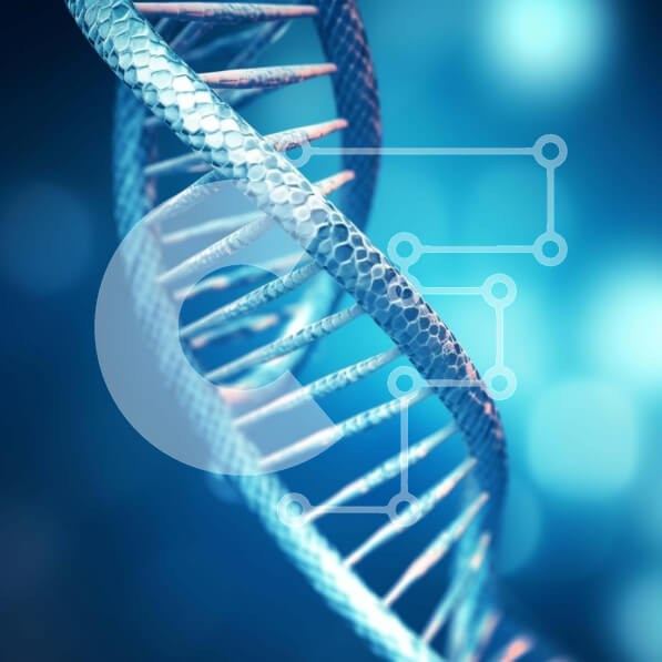 Intra Συλλεκτικό Ξύλινο Παζλ Plywood  4mm - Κοντινή εικόνα του μπλε σκέλους DNA Σε Ξύλινο Κουτί - Διαστάσεις Puzzle: 10x10 cm – 25 κομμάτια