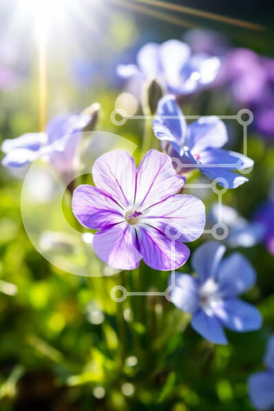 Σετ των 2 Intra Συλλεκτικό Ξύλινο Παζλ Plywood  4mm - Κοντινό πλάνο μωβ και λευκά λουλούδια με έντονο φως του ήλιου Σε Ξύλινο Κουτί - Διαστάσεις: 10x10 cm – 25 κομμάτια