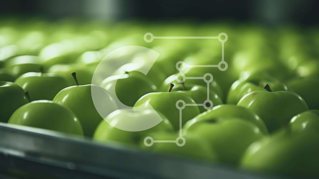 Σετ των 2 Intra Συλλεκτικό Ξύλινο Παζλ Plywood  4mm - Πράσινα μήλα διατεταγμένα σε σειρές σε μια γραμμή συναρμολόγησης Σε Ξύλινο Κουτί - Διαστάσεις: 10x10 cm – 25 κομμάτια