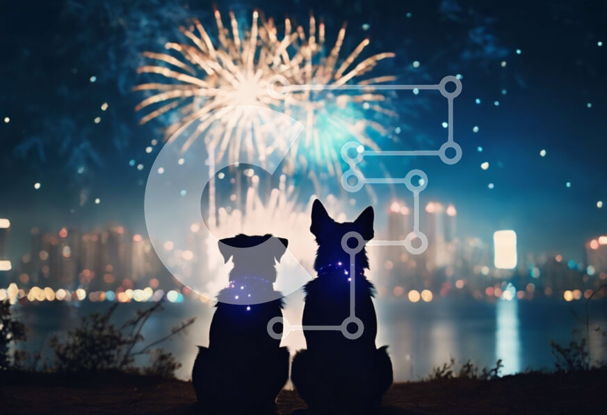 Σετ των 2 Intra Συλλεκτικό Ξύλινο Παζλ Plywood  4mm - Γιορτάζοντας με σκύλους: αστικό τοπίο, πυροτεχνήματα και αντανακλαστικά περιλαίμια Σε Ξύλινο Κουτί - Διαστάσεις: 10x10 cm – 25 κομμάτια