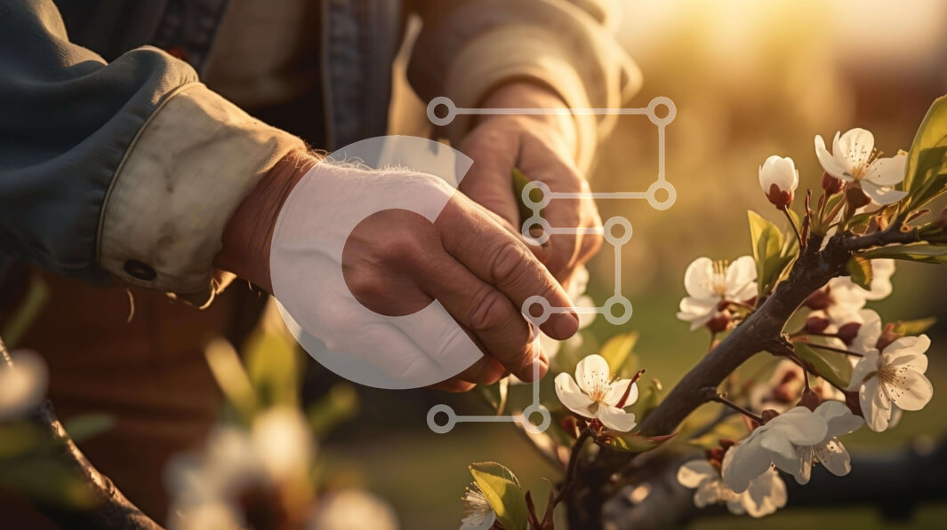 Intra Συλλεκτικό Ξύλινο Παζλ Plywood  4mm - Άτομο που κλαδεύει τη μηλιά με τα λευκά άνθη Σε Ξύλινο Κουτί - Διαστάσεις: 10x10 cm – 25 κομμάτια