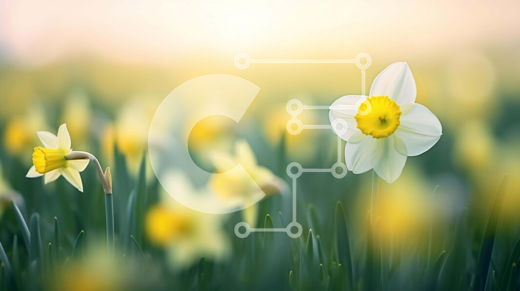 Intra Συλλεκτικό Ξύλινο Παζλ Plywood  4mm - Πεδίο με κίτρινους και λευκούς νάρκισσους με άλλα λουλούδια Σε Ξύλινο Κουτί - Διαστάσεις: 10x10 cm – 25 κομμάτια