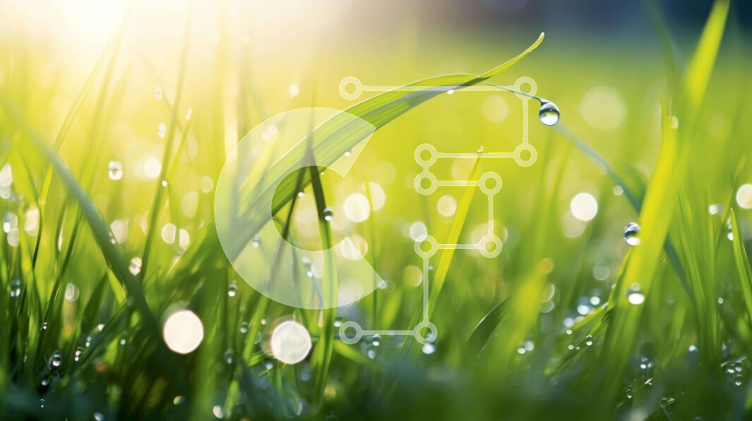 Intra Συλλεκτικό Ξύλινο Παζλ Plywood  4mm - Πράσινο πεδίο με σταγονίδια νερού Σε Ξύλινο Κουτί - Διαστάσεις: 10x10 cm – 25 κομμάτια