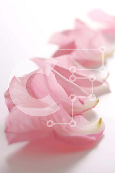 Σετ των 2 Intra Συλλεκτικό Ξύλινο Παζλ Plywood  4mm - Ροζ πέταλα σε λευκή επιφάνεια Σε Ξύλινο Κουτί - Διαστάσεις: 10x10 cm – 25 κομμάτια