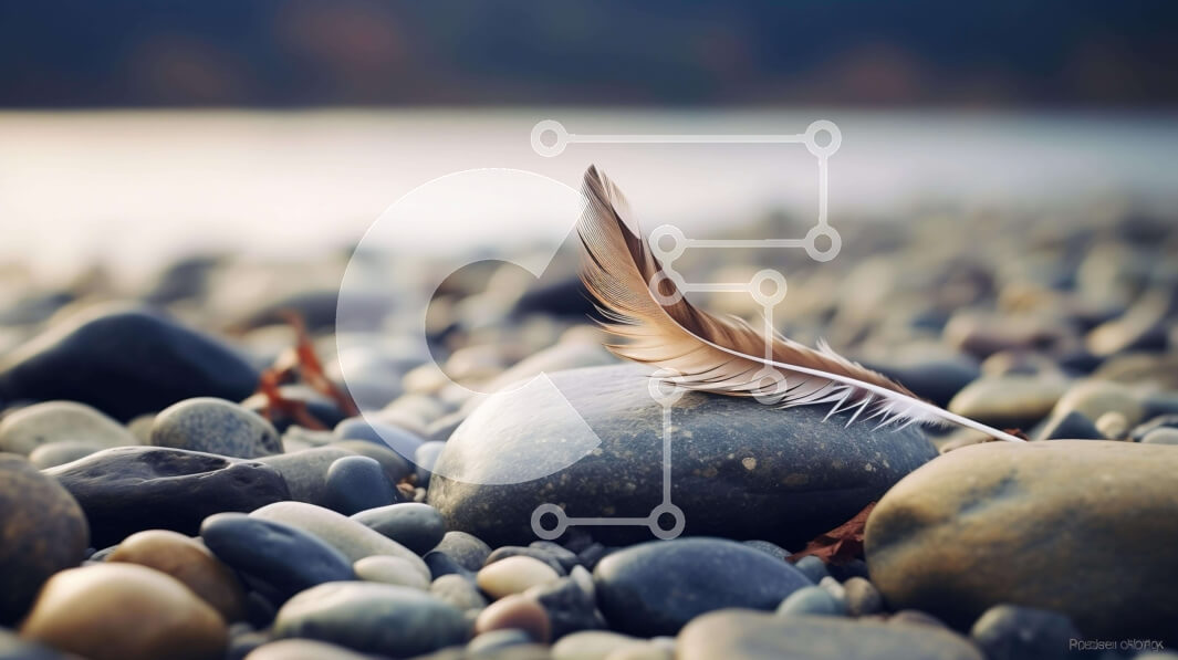 Intra Συλλεκτικό Ξύλινο Παζλ Plywood  4mm - Φτερό σε βράχους και βότσαλα κοντά στο νερό Σε Ξύλινο Κουτί - Διαστάσεις: 10x10 cm – 25 κομμάτια