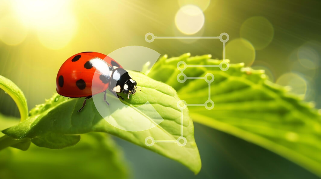 Intra Συλλεκτικό Ξύλινο Παζλ Plywood  4mm - Πασχαλίτσα σε ένα πράσινο φύλλο Σε Ξύλινο Κουτί - Διαστάσεις: 10x10 cm – 25 κομμάτια