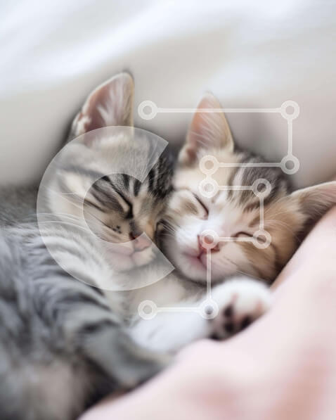 Σετ των 2 Intra Συλλεκτικό Ξύλινο Παζλ Plywood  4mm - Δύο γατάκια που κοιμούνται μαζί σε ένα κρεβάτι Σε Ξύλινο Κουτί - Διαστάσεις: 10x10 cm – 25 κομμάτια