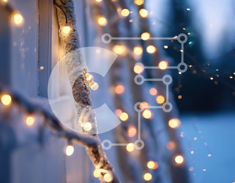 Intra Συλλεκτικό Ξύλινο Παζλ Plywood  4mm - Χειμερινή Χώρα των Θαυμάτων: Χιονισμένο κλαδί δέντρου με διακοσμητικά φωτάκια Σε Ξύλινο Κουτί - Διαστάσεις Puzzle: 10x10 cm – 25 κομμάτια