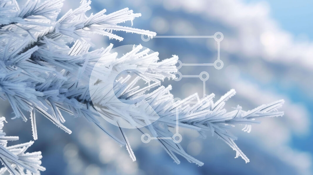 Intra Συλλεκτικό Ξύλινο Παζλ Plywood  4mm - Παγωμένο κλαδί δέντρου καλυμμένο με κρύσταλλα Σε Ξύλινο Κουτί - Διαστάσεις: 10x10 cm – 25 κομμάτια