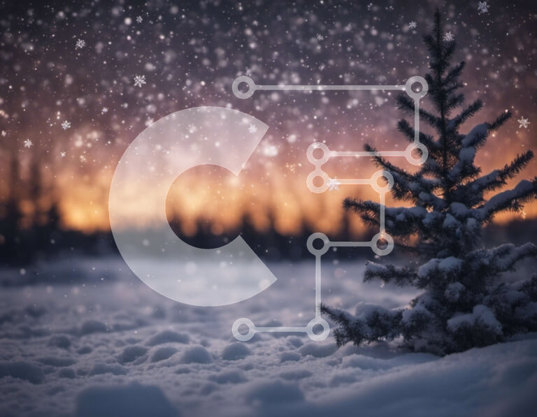 Intra Συλλεκτικό Ξύλινο Παζλ Plywood  4mm - Χειμερινό πεύκο στο χιόνι με τις νιφάδες χιονιού που πέφτουν Σε Ξύλινο Κουτί - Διαστάσεις: 10x10 cm – 25 κομμάτια