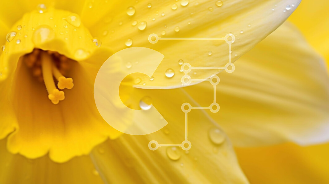 Intra Συλλεκτικό Ξύλινο Παζλ Plywood  4mm - Κίτρινο λουλούδι με σταγονίδια νερού Σε Ξύλινο Κουτί - Διαστάσεις: 10x10 cm – 25 κομμάτια