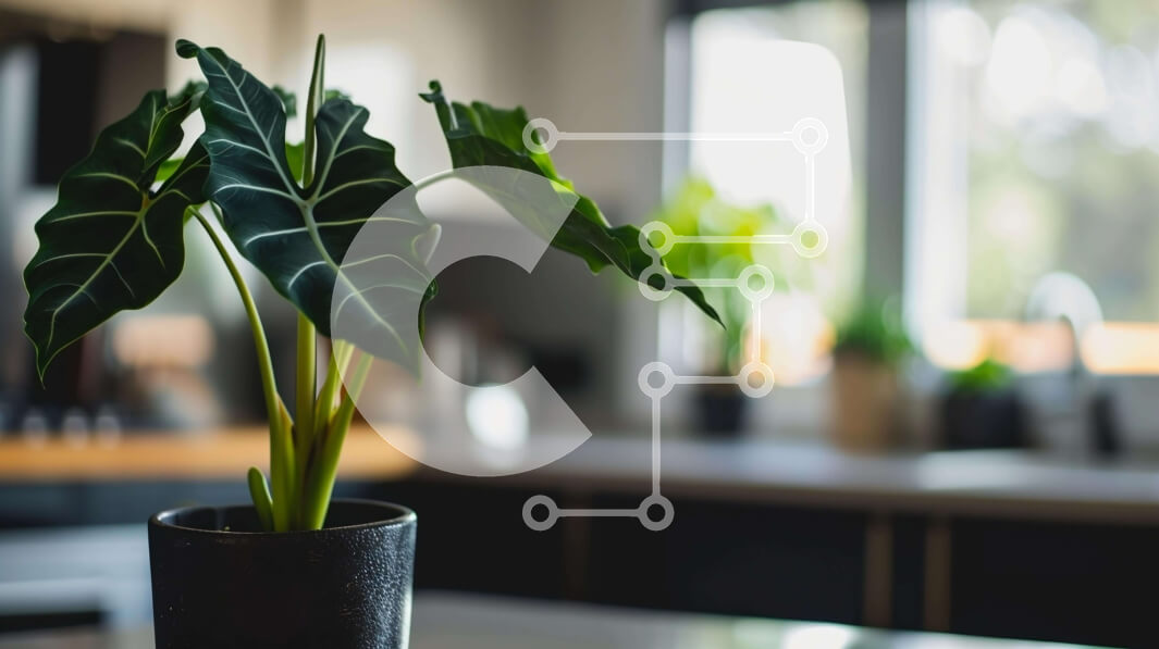 Intra Συλλεκτικό Ξύλινο Παζλ Plywood  4mm - Υγιές φυτό σε γλάστρα στην ανοιχτή κουζίνα Σε Ξύλινο Κουτί - Διαστάσεις Puzzle: 10x10 cm – 25 κομμάτια