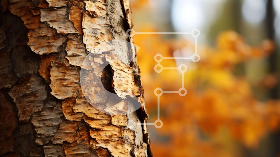 Intra Συλλεκτικό Ξύλινο Παζλ Plywood  4mm - Φλοιός δέντρου με κίτρινα και καφέ φύλλα Σε Ξύλινο Κουτί - Διαστάσεις: 10x10 cm – 25 κομμάτια