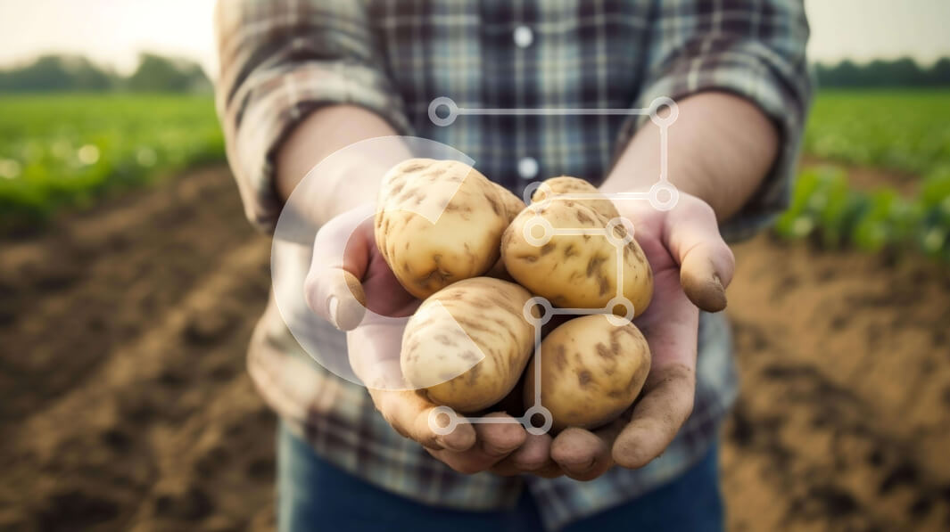 Σετ των 2 Intra Συλλεκτικό Ξύλινο Παζλ Plywood  4mm - Άτομο που κρατά φρέσκες πατάτες στα χέρια του Σε Ξύλινο Κουτί - Διαστάσεις: 10x10 cm – 25 κομμάτια