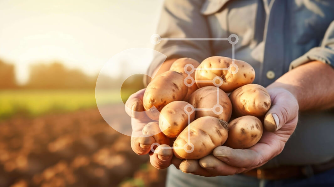 Σετ των 2 Intra Συλλεκτικό Ξύλινο Παζλ Plywood  4mm - Άνθρωπος που συγκομίζει πατάτες από το χωράφι Σε Ξύλινο Κουτί - Διαστάσεις: 10x10 cm – 25 κομμάτια