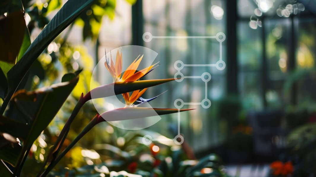 Intra Συλλεκτικό Ξύλινο Παζλ Plywood  4mm - Λουλούδι Bird of Paradise σε ένα θερμοκήπιο με πουλιά Σε Ξύλινο Κουτί - Διαστάσεις: 10x10 cm – 25 κομμάτια