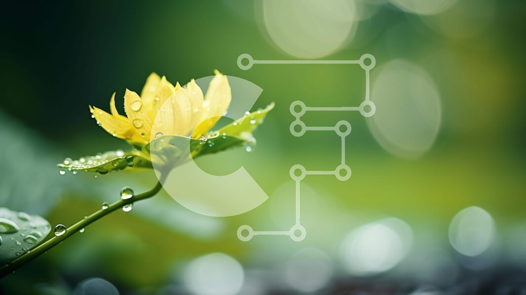 Intra Συλλεκτικό Ξύλινο Παζλ Plywood  4mm - Μονό κίτρινο λουλούδι με σταγονίδια νερού σε πράσινο φύλλωμα Σε Ξύλινο Κουτί - Διαστάσεις: 10x10 cm – 25 κομμάτια