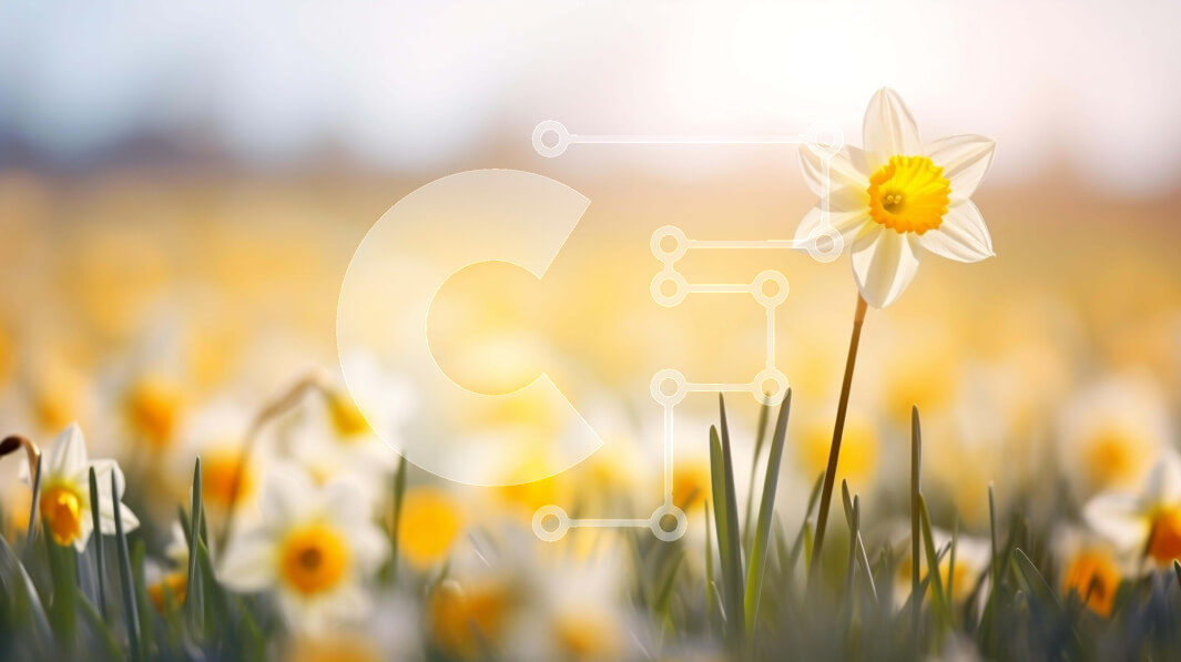 Intra Συλλεκτικό Ξύλινο Παζλ Plywood  4mm - Μονό κίτρινο και άσπρο λουλούδι ασφόδελο σε πράσινο γρασίδι Σε Ξύλινο Κουτί - Διαστάσεις: 10x10 cm – 25 κομμάτια