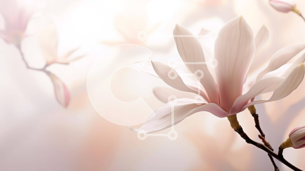 Intra Συλλεκτικό Ξύλινο Παζλ Plywood  4mm - Λευκό λουλούδι Magnolia σε πλήρη άνθιση Σε Ξύλινο Κουτί - Διαστάσεις: 10x10 cm – 25 κομμάτια