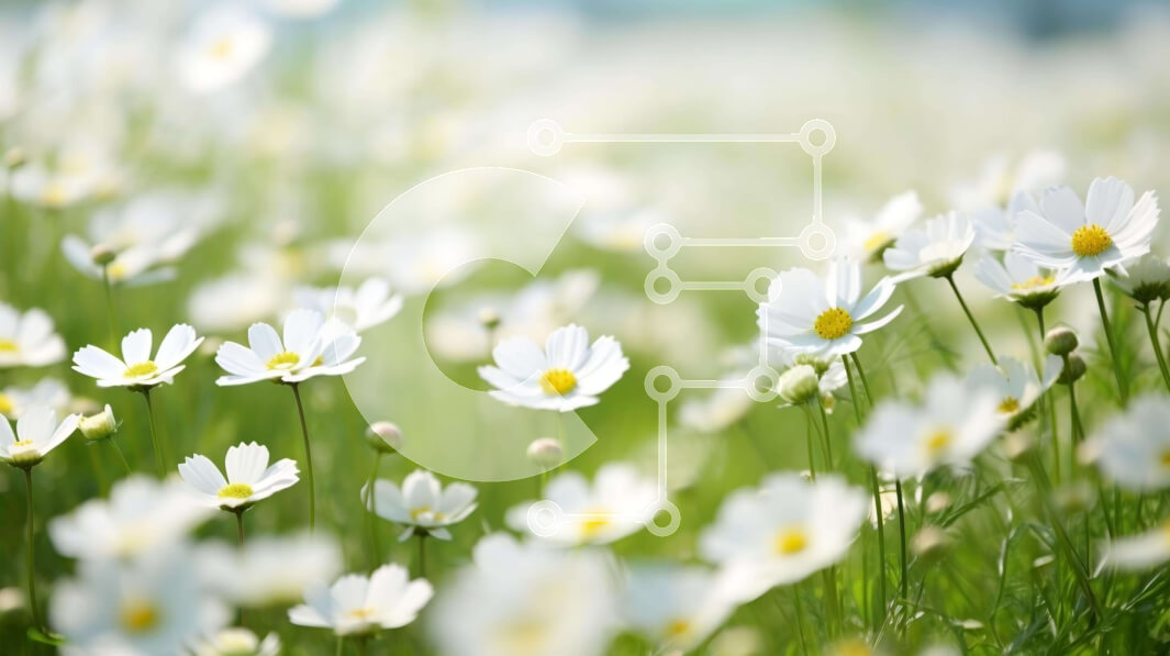 Intra Συλλεκτικό Ξύλινο Παζλ Plywood  4mm - Καταπράσινο χωράφι με λευκές μαργαρίτες Σε Ξύλινο Κουτί - Διαστάσεις: 10x10 cm – 25 κομμάτια