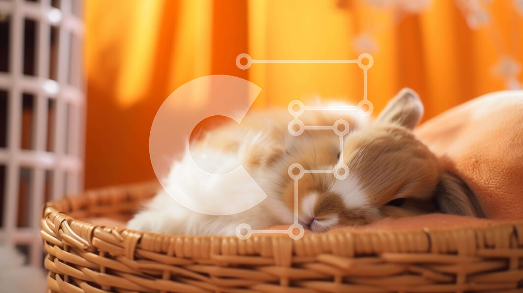 Σετ των 2 Intra Συλλεκτικό Ξύλινο Παζλ Plywood  4mm - Χαριτωμένο καφέ και λευκό λαγουδάκι που κοιμάται στο ανοιχτό καλάθι Σε Ξύλινο Κουτί - Διαστάσεις: 10x10 cm – 25 κομμάτια