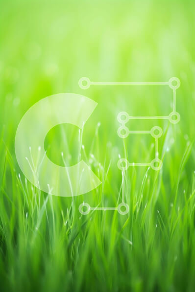 Σετ των 2 Intra Συλλεκτικό Ξύλινο Παζλ Plywood  4mm - Κοντινό πλάνο της πράσινης χλόης με σταγονίδια νερού Σε Ξύλινο Κουτί - Διαστάσεις: 10x10 cm – 25 κομμάτια