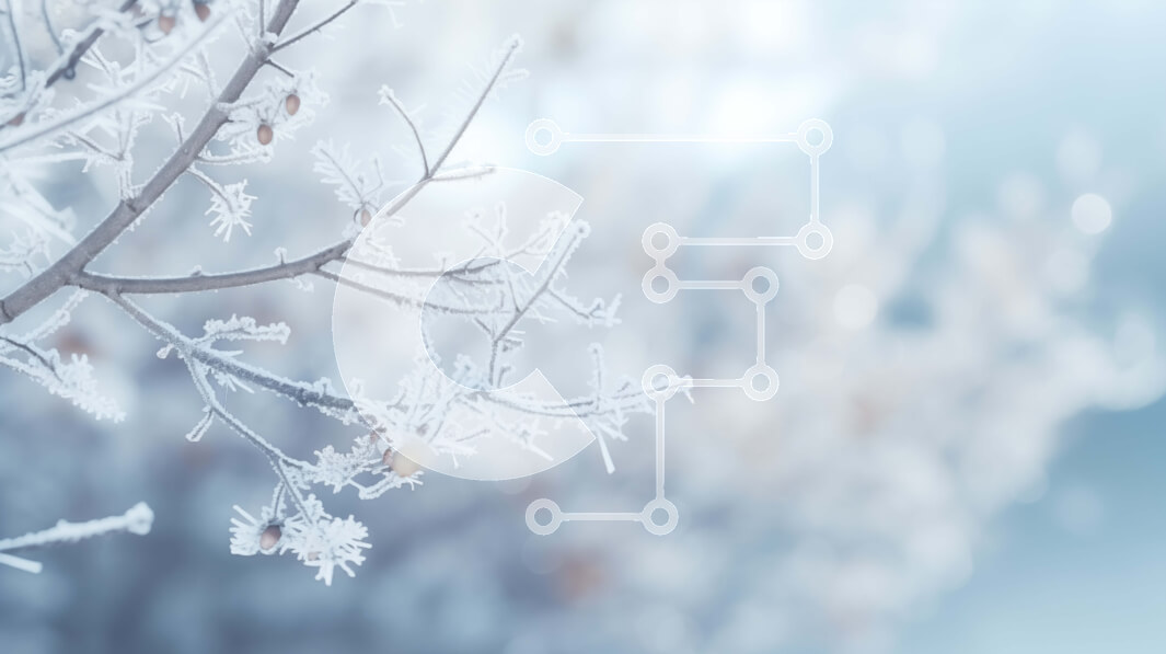 Intra Συλλεκτικό Ξύλινο Παζλ Plywood  4mm - Κλαδί δέντρου καλυμμένο με παγετό με θολό φόντο Σε Ξύλινο Κουτί - Διαστάσεις: 10x10 cm – 25 κομμάτια