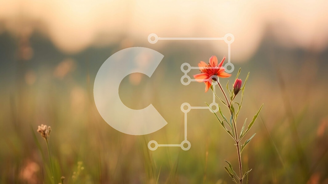 Intra Συλλεκτικό Ξύλινο Παζλ Plywood  4mm - Μονό κόκκινο λουλούδι στο χωράφι με ψηλά χόρτα Σε Ξύλινο Κουτί - Διαστάσεις: 10x10 cm – 25 κομμάτια