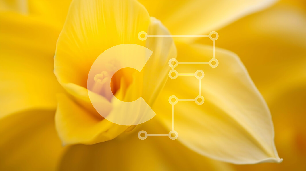 Intra Συλλεκτικό Ξύλινο Παζλ Plywood  4mm - Κοντινό πλάνο του ανθισμένου κίτρινου λουλουδιού Σε Ξύλινο Κουτί - Διαστάσεις: 10x10 cm – 25 κομμάτια