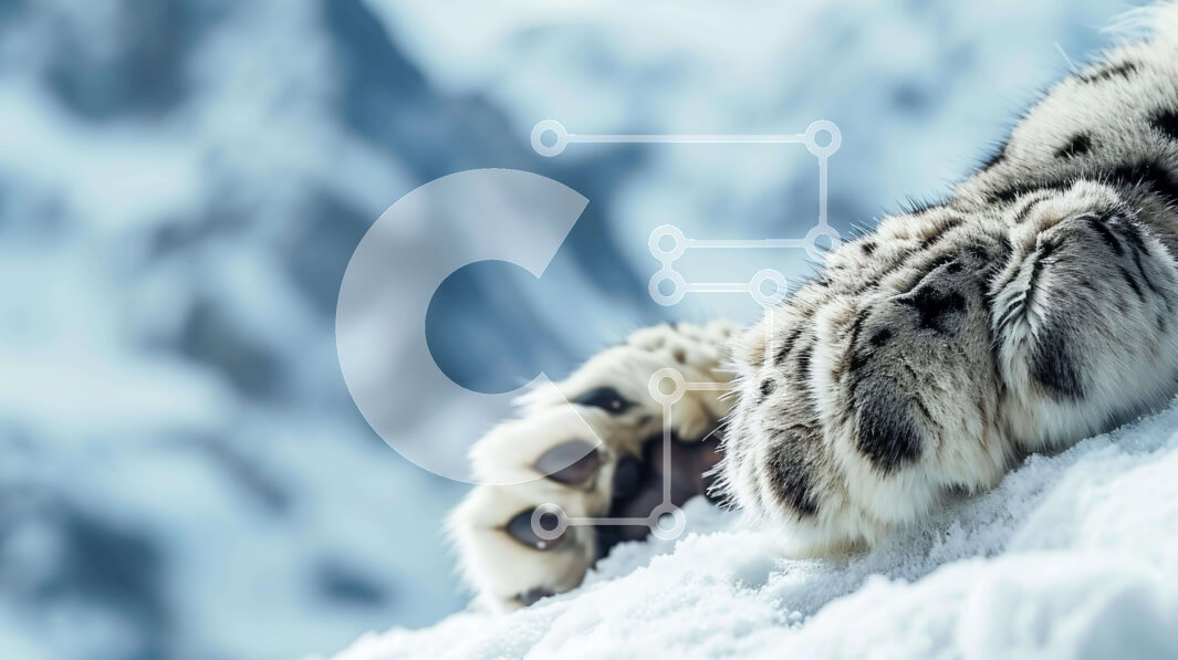 Σετ των 2 Intra Συλλεκτικό Ξύλινο Παζλ Plywood  4mm - Snow Leopard Paws στα χιονισμένα βουνά Σε Ξύλινο Κουτί - Διαστάσεις: 10x10 cm – 25 κομμάτια