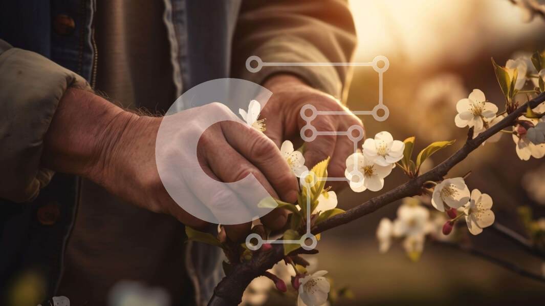 Intra Συλλεκτικό Ξύλινο Παζλ Plywood  4mm - Άτομο που τείνει να μηλιά με λευκά λουλούδια στο πρώτο πλάνο Σε Ξύλινο Κουτί - Διαστάσεις: 10x10 cm – 25 κομμάτια